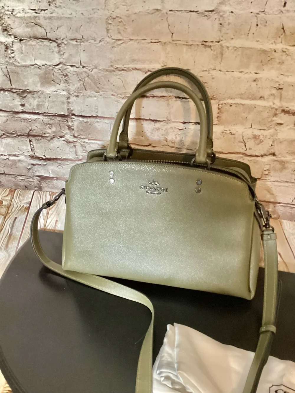 Coach kelp Lillie Carryall Satchel purse